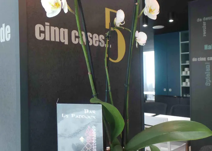 Ibis Styles Centre Hotell 3*