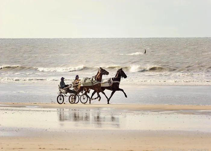 Ibis Styles Centre 3* Deauville